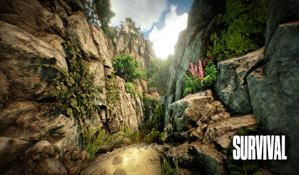 Survival VR escape room set in a tropical jungle.